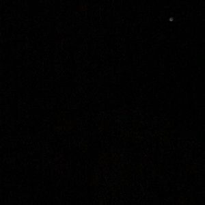 Meet your Posher, Sean